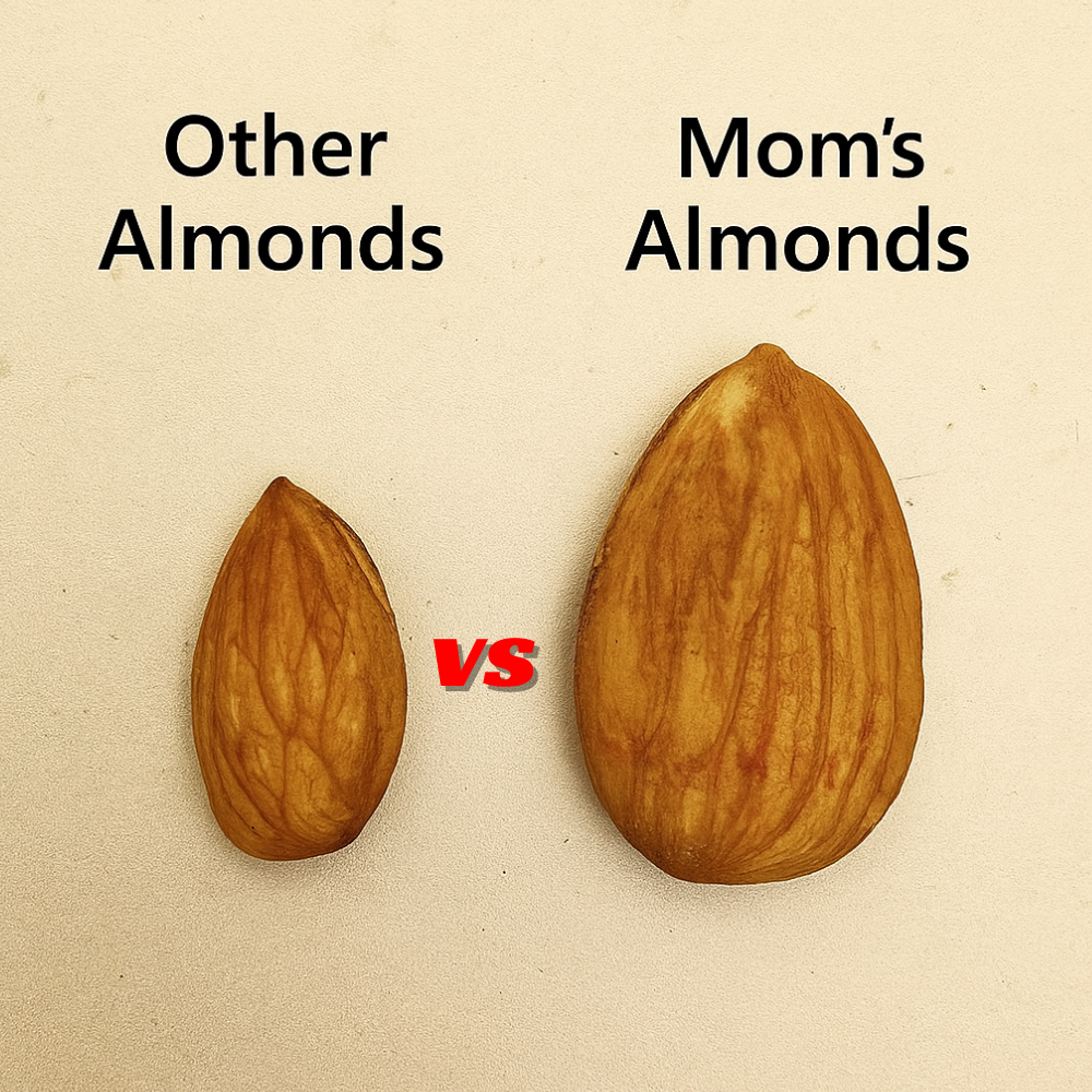 100% Natural Premium Almonds – High-Protein, Heart & Skin Healthy | MOM TRADERS