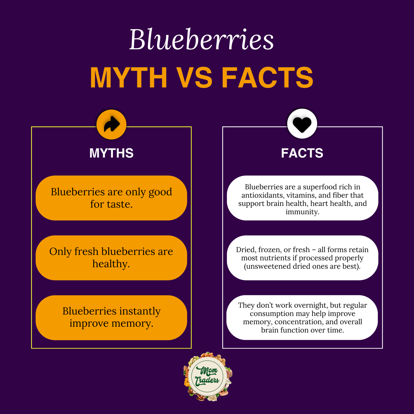 Fresh Dried Blueberries Plum
