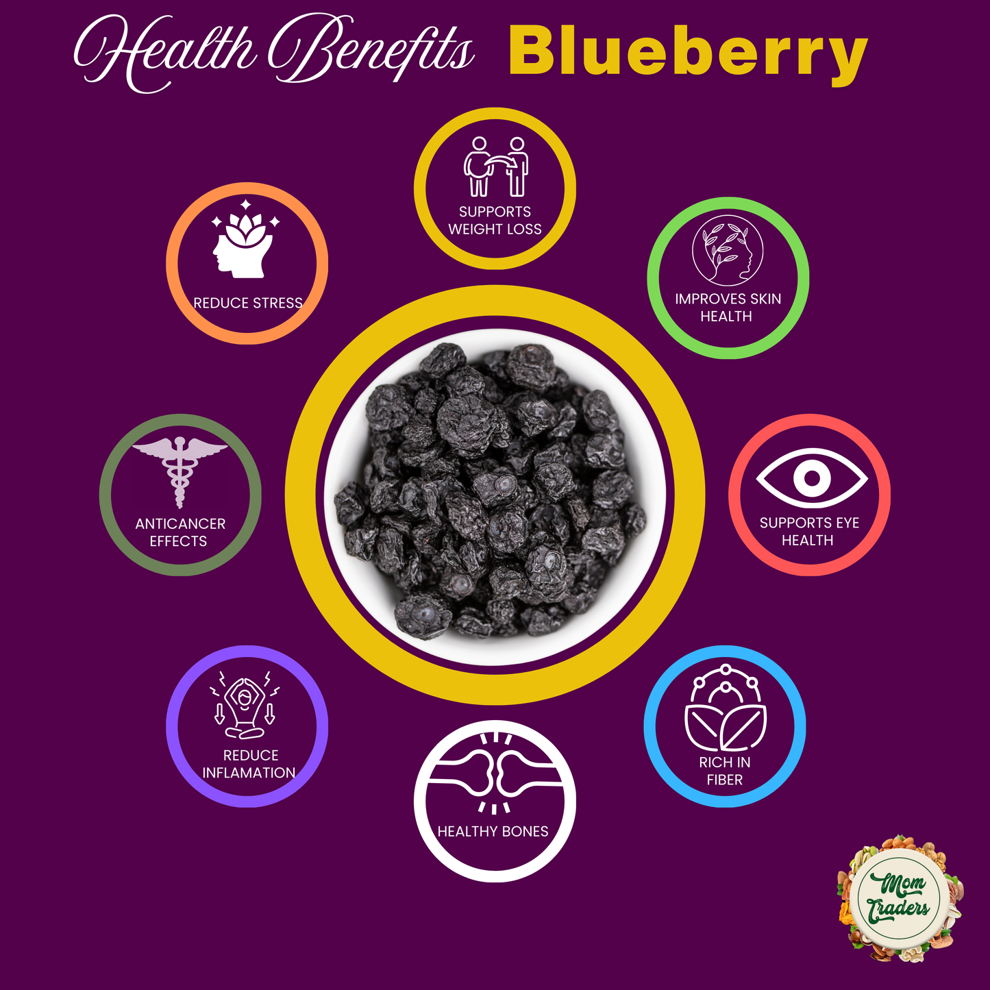 Fresh Dried Blueberries Plum